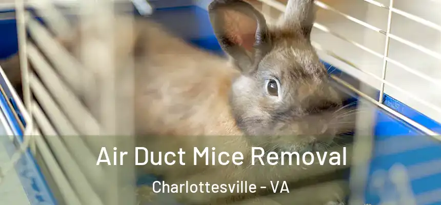 Air Duct Mice Removal Charlottesville - VA