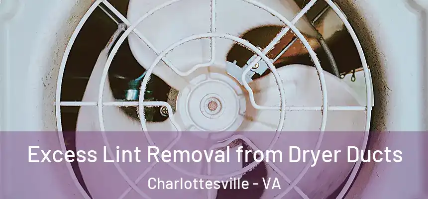  Excess Lint Removal from Dryer Ducts Charlottesville - VA
