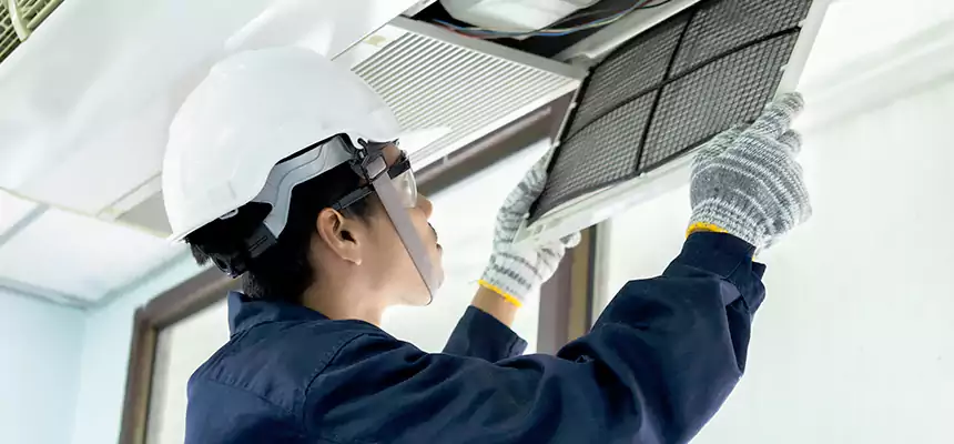 Our Mold & Mildew Removal from Air Ducts Services in Charlottesville, VA