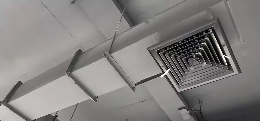 Our Rodent Droppings In Vents Services in Charlottesville, VA