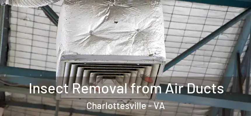 Insect Removal from Air Ducts Charlottesville - VA