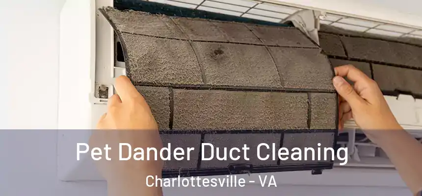 Pet Dander Duct Cleaning Charlottesville - VA