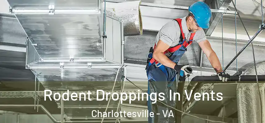 Rodent Droppings In Vents Charlottesville - VA