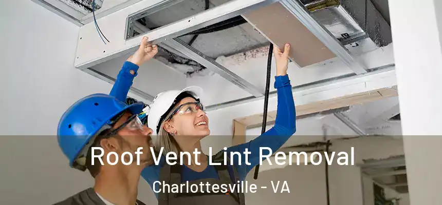  Roof Vent Lint Removal Charlottesville - VA