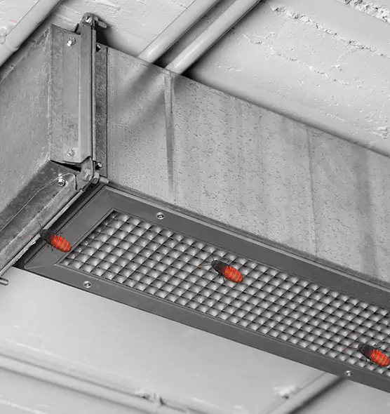 About Air Duct Cockroach Removal in Charlottesville, VA