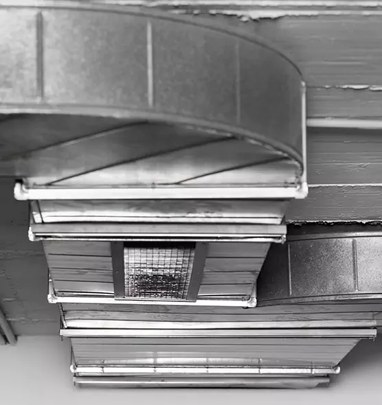 Professional Air Duct Pest Removal in Charlottesville, VA