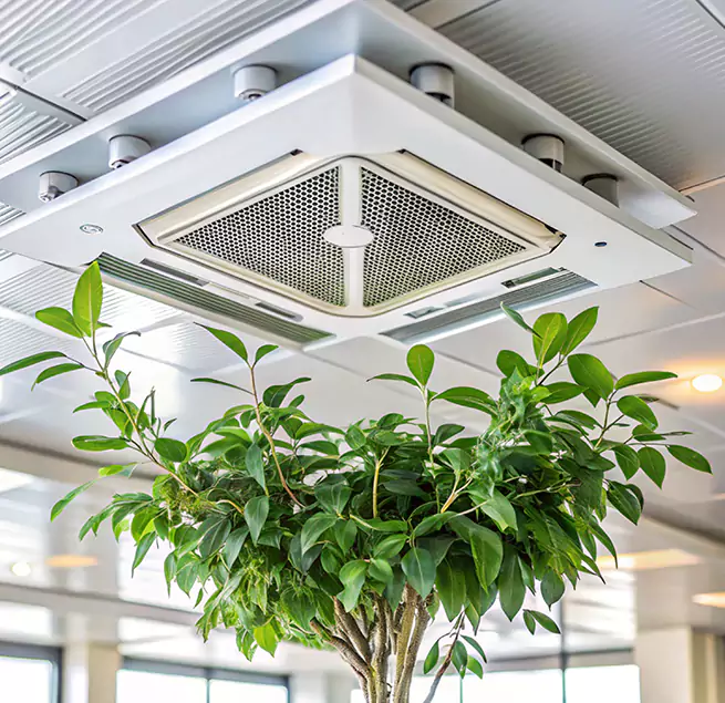 Why Homeowners & Businesses Trust Us in Charlottesville, VA