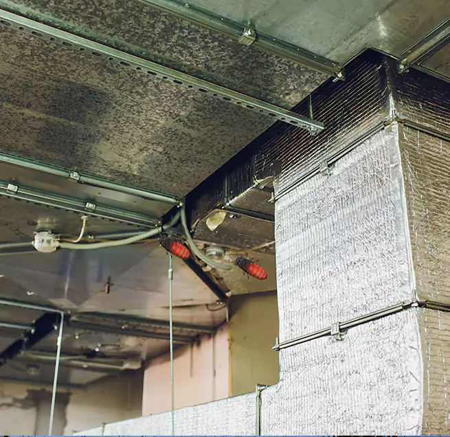 Why Homeowners & Businesses Trust Us Charlottesville, VA?