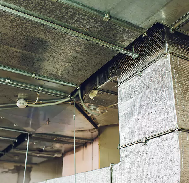 Why Homeowners & Businesses Trust Us in Charlottesville, VA?